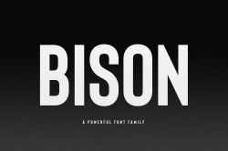 Bison Font Family (Free download) on Behance