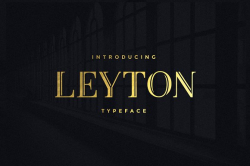 20 Elegant Fonts to Add A Touch of Luxury ~ Creative Market Blog