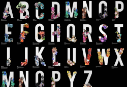 101 best free logo fonts | Webdesigner Depot