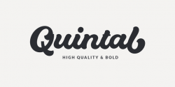 Quintal Script | Webfont & Desktop font | MyFonts
