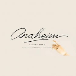 25 most interesting free script fonts