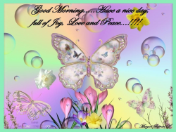 butterfly blessings | Good Morning…..Have a nice day, full ...