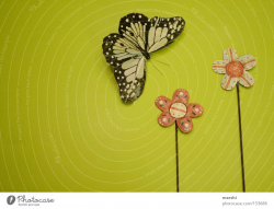 Flower Green Joy Emotions - a Royalty Free Stock Photo from ...