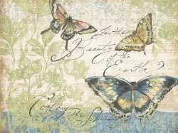 Winget\'s Sketchbook | Butterflies | Music wall art ...