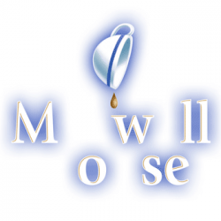 Logo Quiz by Bubble Logo Quiz by Bubble Level 8 - 17 ...