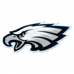 Authentic Street Signs Philadelphia Eagles 24-in x 24-in ...