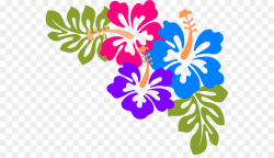 Cuisine of Hawaii Luau Clip art - Hawaiian Luau Clipart