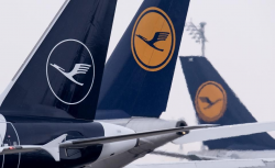 Color Is Key To Understanding Drama Over Lufthansa\'s New ...