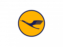 Pin on Microsoft Flight Simulator X Steam Edition