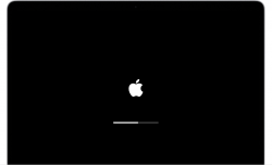 If your Mac starts up to an Apple logo or progress bar ...
