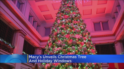 Macy\'s Kicks Off Holiday Season With Unveiling Of Great Tree ...
