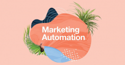 MailChimp 101: Automation – Elkfox | Digital Commerce Experts