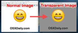 Make a Transparent Image (PNG or GIF) Easily with Preview ...