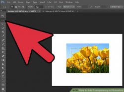 4 Easy Ways to Add Transparency in Photoshop - wikiHow