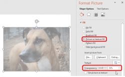 How to Make an Image Transparent in PowerPoint | PowerPoint ...