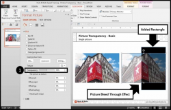 How to Make an Image Transparent in PowerPoint (Step-by-Step)