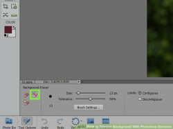 How to Remove Background With Photoshop Elements (with Pictures)