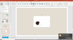 Make an Image Background Transparent in PowerPoint