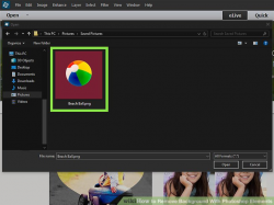 How to Remove Background With Photoshop Elements (with Pictures)