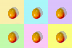 Photoshop How-To: Transparent Background with Translucent ...