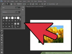 4 Easy Ways to Add Transparency in Photoshop - wikiHow