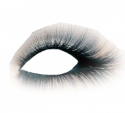 Makeup clipart glitter eye, Makeup glitter eye Transparent ...