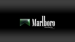 76+] Marlboro Wallpapers on WallpaperSafari