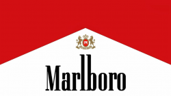 Pin on All logos world