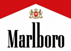 Best Cigarettes to Choose - Cigarettes for Beginners