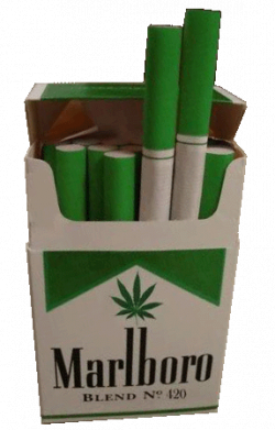 marlboro green uploaded by hannah murray. on We Heart It