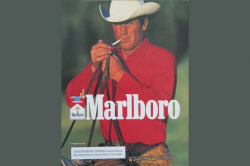 History of advertising: No 97: The Marlboro Man\'s horse