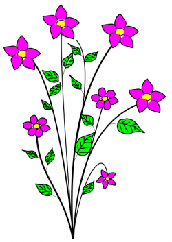 Fuchsia flowering plant | Flower art, Flower clipart, Free ...