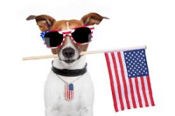 Celebrate Pet Safety This Memorial Day – Rutland County Humane Society