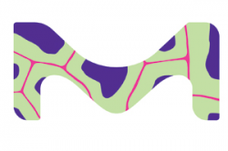 Merck names new CEO and rebrands under one name - PMLiVE