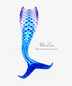 Mermaid tail clipart transparent background tails clip art ...