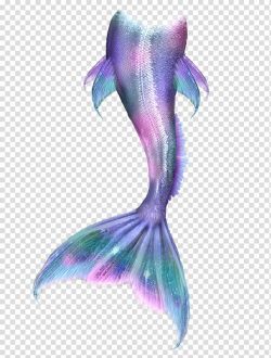 Colas, purple and pink mermaid tail illustration transparent ...