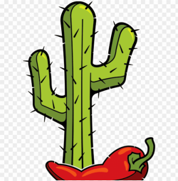 tequila clipart mexican cactus - cactus mexicano PNG image ...