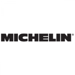 Michelin logo, Vector Logo of Michelin brand free download ...
