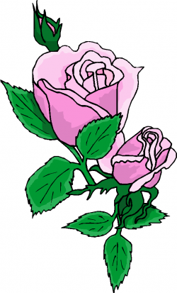 Free Microsoft Flowers Cliparts, Download Free Clip Art ...