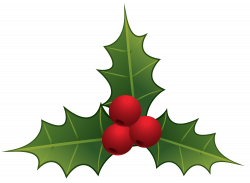 Mistletoe PNG Clipart - Best WEB Clipart