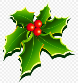 Mistletoe Clip Art, PNG, 935x1004px, Common Holly ...