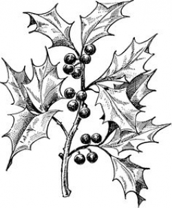 mistletoe clipart black and white - Clip Art Library