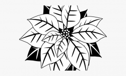 Poinsettia Clipart Black And White - Black And White ...