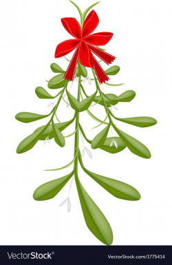 Hanging Lovely Green Mistletoe with A Red Bow