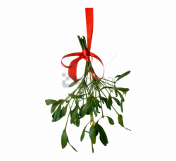 Mistletoe Png Hanging - Merry Christmas From Luke Bryan Free ...