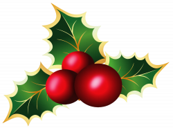 Transparent christmas mistletoe picture clipart - Cliparting.com