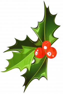 Clip art Mistletoe Portable Network Graphics Image Vector ...