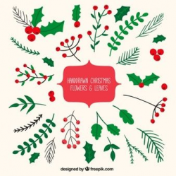 Image result for mistletoe vector free | Christmas leaves ...