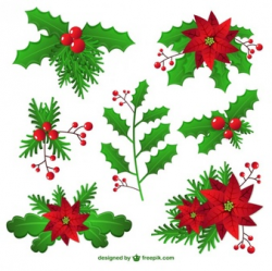 Mistletoe Vectors, Photos and PSD files | Free Download