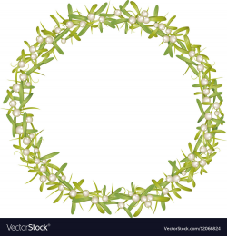 Wreath with mistletoe
